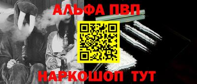 гашик Тара