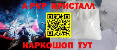 гашик Тара