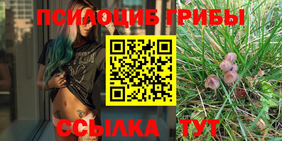 Нижневартовск  Галлюциногенные грибы GOLDEN TEACHER  Вход с VPN 